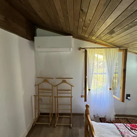 Vintage House *