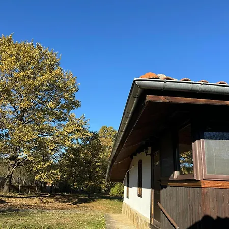 Vintage House Holiday home *