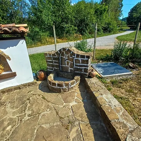 Vintage House * Elena