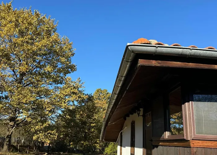 Vintage House בית נופש *